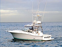 Blackjack Sportfishing Charters