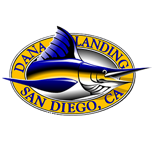 fishing rod price